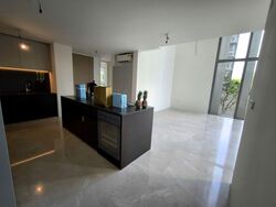 Amber Park (D15), Condominium #589756661